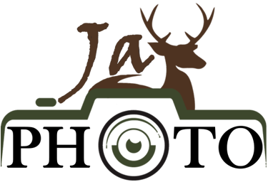 JayPhoto