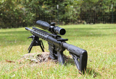 DPMS 308