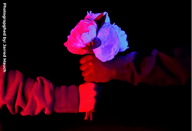 two people holding a flower in their hand