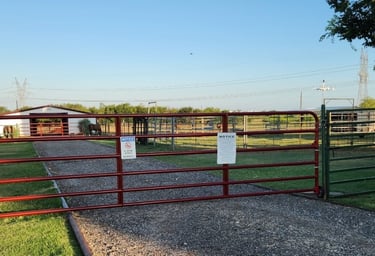 Windy Mane Ranch HH 2nd gate