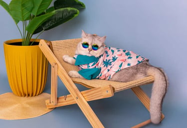 Gato blanco con gafas de sol y camisa mexicana relajado en una mini hamaca de madera