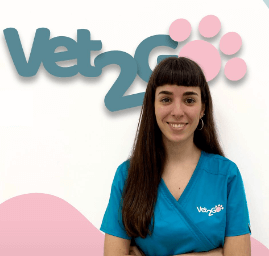 Cachorro mestizo adoptable en un refugio español.