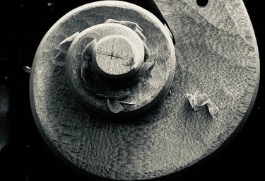 Black and white image of a violin scroll, partially carved