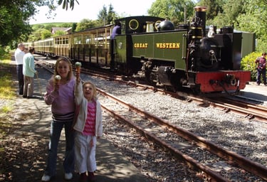 Vale of Rheidol Railway