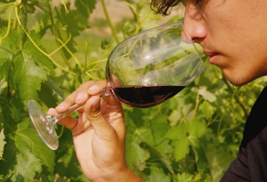 man smelling red wine in vineyard
