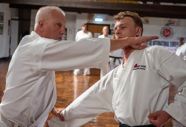 Sensei Dave Kershaw 8th Dan demonstrates Haito Uchi 