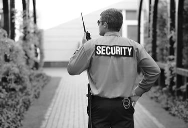 Servizio security a Como