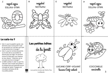 petits livrets imagier insecte de la forêt
