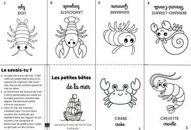 petits livret insecte de la mer
