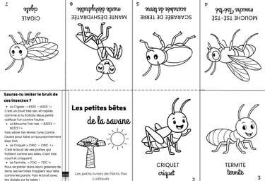 petits livrets insecte de la savane
