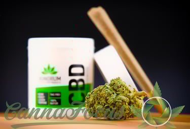 Premium Cannabis Buds auch als Blüten oder Knospen, und Joint. Bonorum Premium Hemp Store, Rudolfplatz 6a, Köln