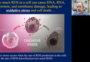 Too much ROS can cause DNA, RNA, protein & membrane damage leading to cell death
