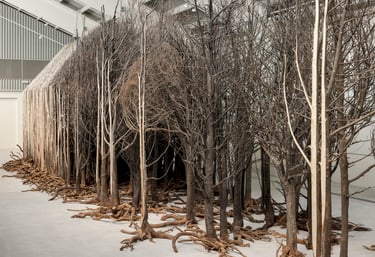Doris Salcedo, por exemplo, trabalha com a memória e o trauma da violência política, criando instala