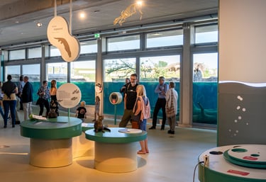 Wasserlinie des Aquariums - ein grundlegendes Element, das das gesamte Erlebnis vereint