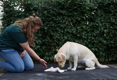 Hersenwerk begeleiding