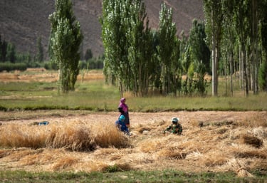 Rural women in agriculture