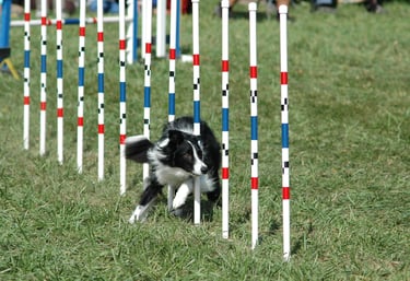 YOU run your business we take care of the rest