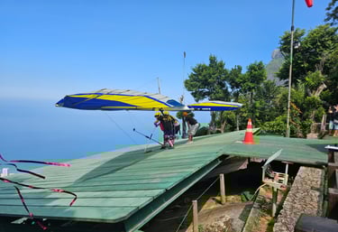 Aguardando o melhor momento para a decolagem