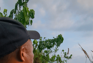 Our guide pointing at wildlife in the Gabonese bush.