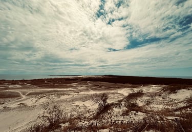 Asta Butkutė Jurevičienė