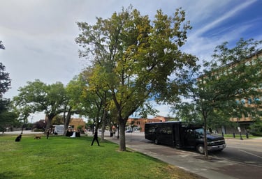 Party bus wedding event transportation