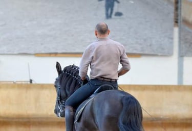 dressage