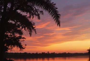 Close-up of a video camera capturing a political campaign rally in Veracruz.
