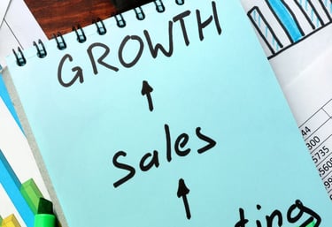 Bizolvo Consulting