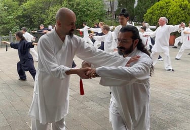 Ismet Himmet guiding Mehmet Başkak during a Tai Ji form correction at an outdoor group training.