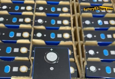 detail of LiFePO4 prismatic battery cells