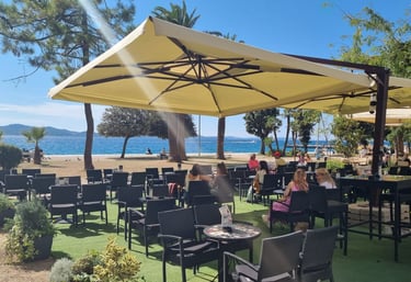 best-coffee-best-icecrem-recommendation-article