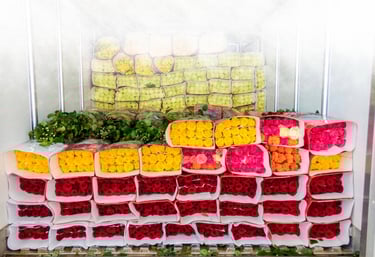 flores al por mayor pereira