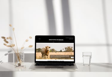 Laptop z otwartą stroną internetową sklepu wszystkodoracic.pl, oferującego produkty do korekcji raci