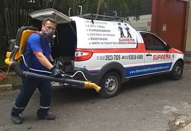 empresa com carro e um homem com um pulverizador