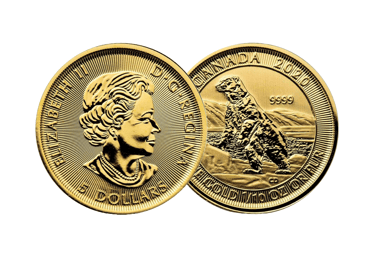 gold canadian polar bear coin