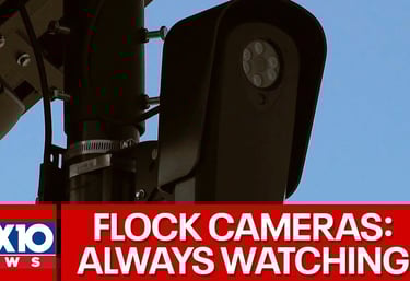 FLOCl a camera mounted to a pole with a camera