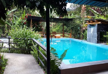 #mindo-hotel-restaurant-bicok-piscine