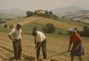 persone che lavorano i campi marche