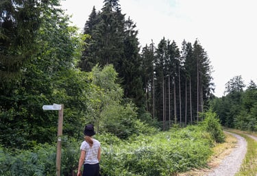 Escarpardenne Eisleck wandelroute