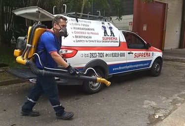 dedetização
