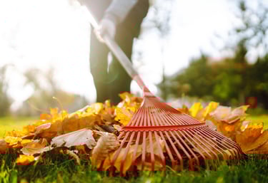 Cleaning for every season
