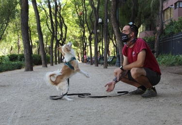 Paseo Funcional Providencia