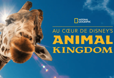 au coeur d'animal kingdom