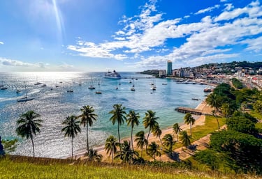 fort de france martinique
