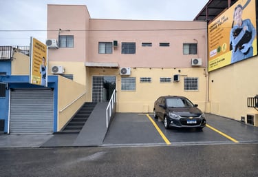 Clínica para gatos em Manaus