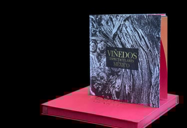 Libro Viñedos Espectaculares México encima de su estuche certificado