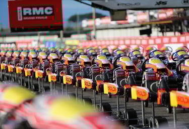 Sodi karts lined up