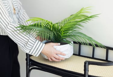 Decorator Staging a Shelf