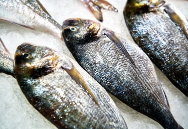 Fotografía de producto