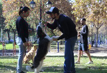 Entrenamiento Santiago Centro